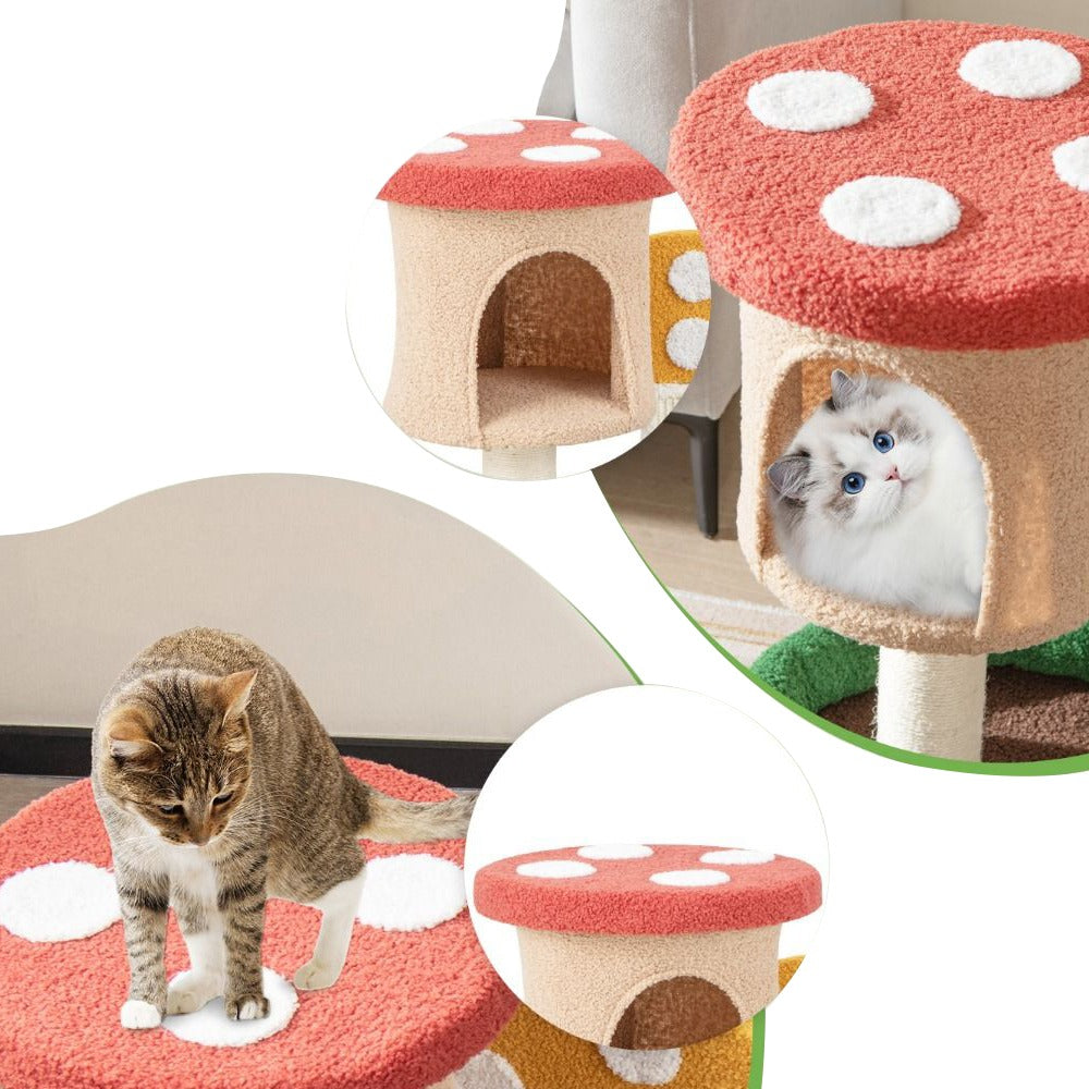 Paddenstoel krab- en klimmeubel voor katten)